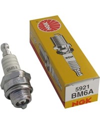 Candela NGK BM6A