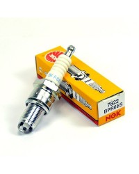Candela NGK BPR6ES