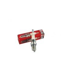 Candela Briggs&Stratton OHV