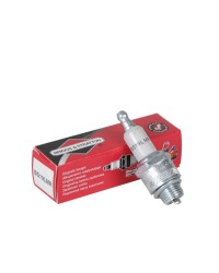 Candela Briggs&Stratton 992300