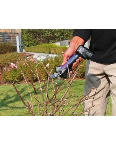 Cesoia Campagnola SL32 V1| Cesoia per uso intensivo