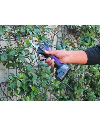 Cesoia Campagnola SL32 V1| Cesoia per uso intensivo