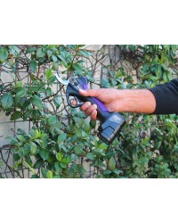 Cesoia Campagnola SL32 V1| Cesoia per uso intensivo