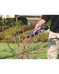 Campagnola Cesoia SL23