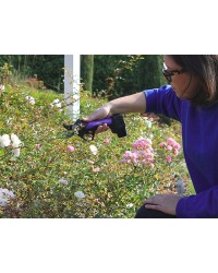 Campagnola Cesoia SL23