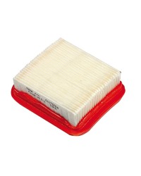 Efco Decespugliatore DS 2700 S