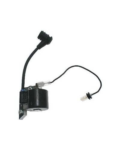 Bobina Originale Per N25-N31 BlueBird 450920