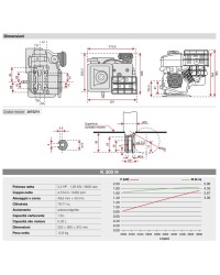 Motore Emak K300 H Euro 5