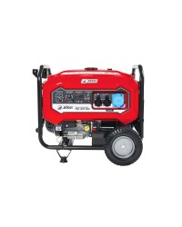 Efco Generatore di Corrente PGE 65E DCS