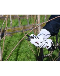 Castellari Cesoia RYNO 40