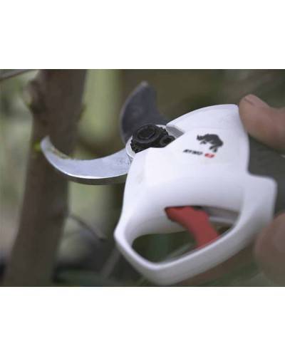 Cesoia Castellari RYNO 63| Cesoia professionale