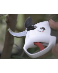 Castellari Cesoia RYNO 63