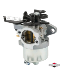 Carburatore Originale Briggs&Stratton 84001115