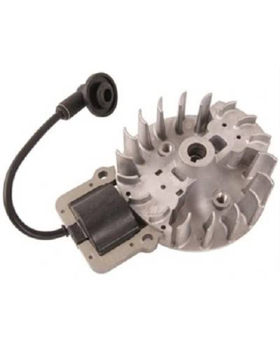 Kit Bobina e Volano di Accensione Originale per Motori AL-KO 412033