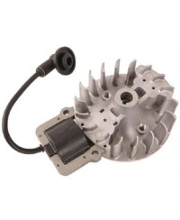 Kit Bobina e Volano di Accensione Originale per Motori AL-KO 412033
