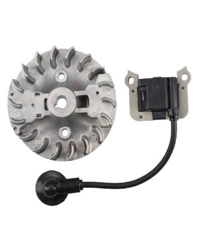 Kit Bobina e Volano di Accensione Originale per Motori AL-KO 412033