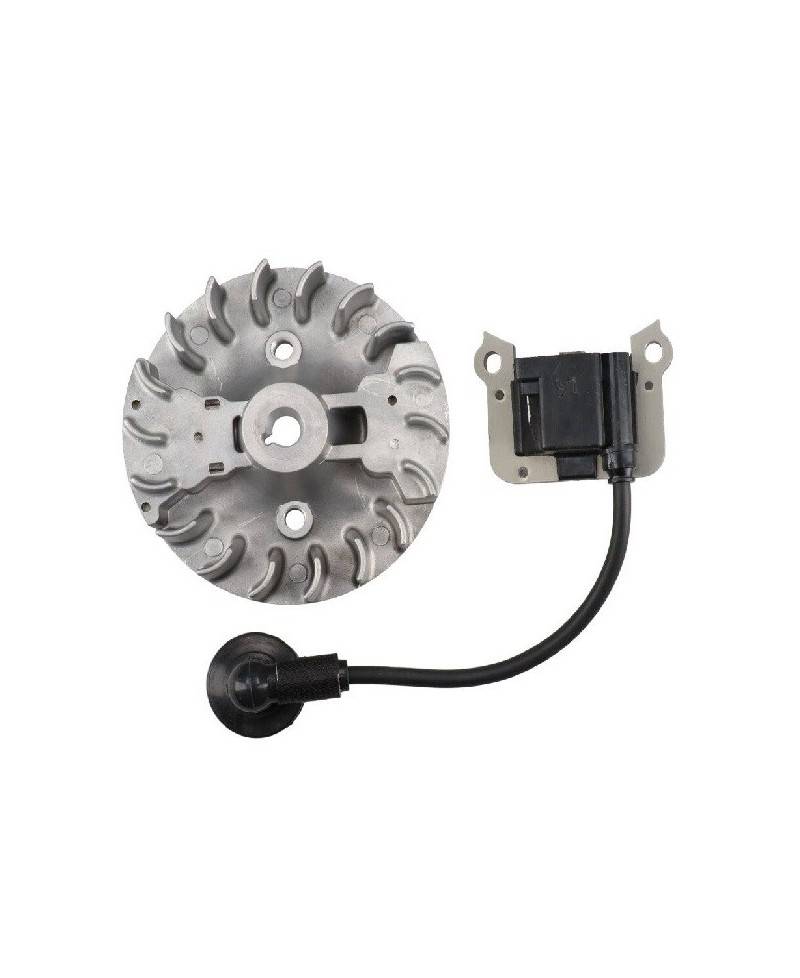 Kit Bobina e Volano di Accensione Originale per Motori AL-KO 412033