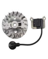 Kit Bobina e Volano di Accensione Originale per Motori AL-KO 412033