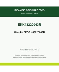 Circuito originale EMAK K43220043 | RIMAG