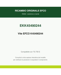 Vite EFCO K45490244 originale EFCO K45490244 | RIMAG
