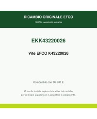 Vite EFCO K43220026 originale EFCO K43220026 | RIMAG