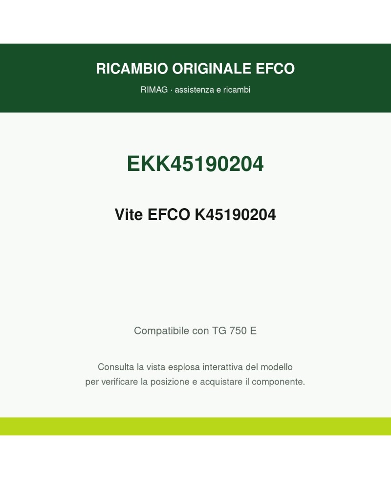 Vite EFCO K45190204 originale EFCO K45190204 | RIMAG