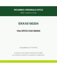 Vite EFCO K45190204 originale EFCO K45190204 | RIMAG