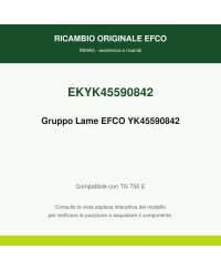 Gruppo Lame x TG 750 originale EMAK YK45590842 | RIMAG