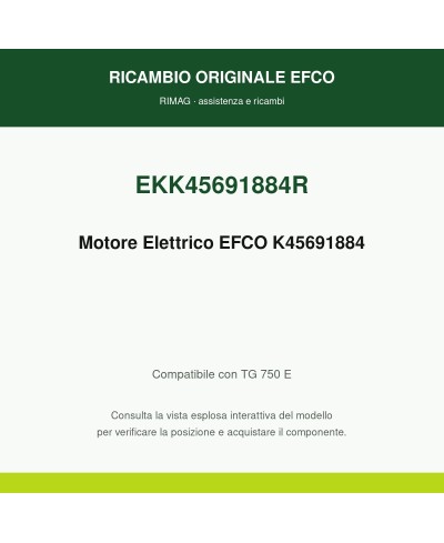 Motore Elettrico EMAK K45691884 | RIMAG