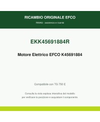 Motore Elettrico EMAK K45691884 | RIMAG