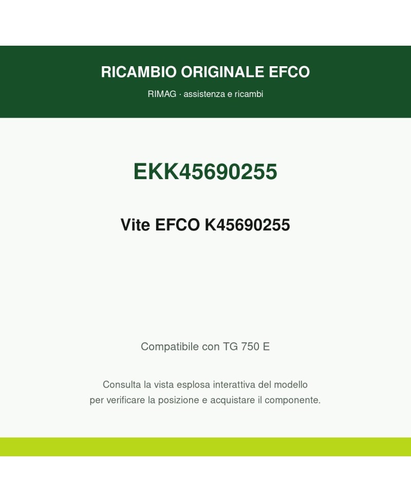 Vite EFCO K45690255 originale EFCO K45690255 | RIMAG