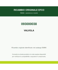 VALVOLA originale EMAK 093000038 | RIMAG