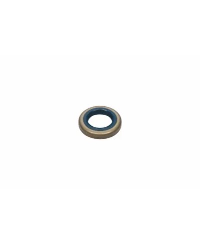 Anello Tenuta 17x28x4,5/5 B1BSL originale EMAK 099900014R | RIMAG