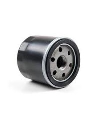 Filtro Olio originale Mtd per 4P90/EFI 420cc