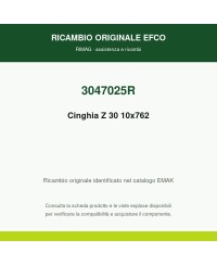Cinghia Z 30 10x762 originale EMAK 3047025 | RIMAG
