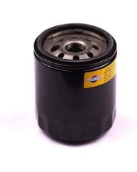 Filtro Olio originale Briggs&stratton alto
