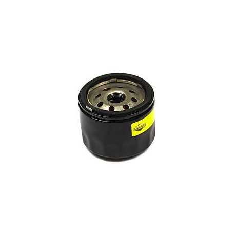 Briggs&Stratton Filtro Olio originale Briggs&stratton 842921 | 28,28 €