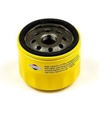 Filtro Olio originale Briggs&stratton 696854