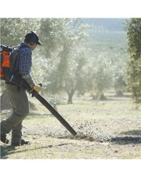 Husqvarna Soffiatore 580BTS