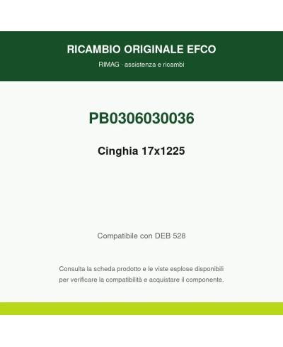 Cinghia 17x1225 originale EMAK PB0306030036 | RIMAG
