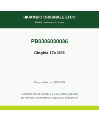 Cinghia 17x1225 originale EMAK PB0306030036 | RIMAG