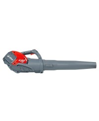 Soffiatore SAI 60 (solo corpo macchina) EMAK 54069002 | RIMAG