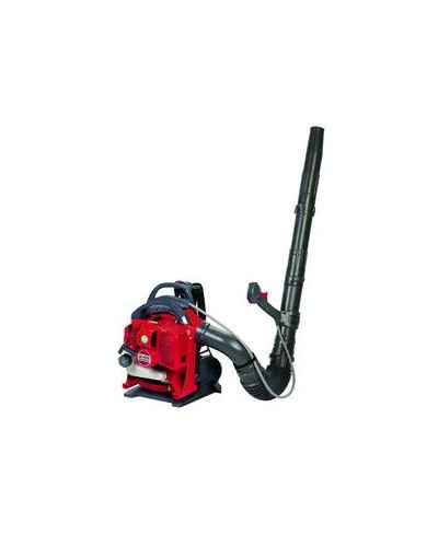 Soffiatore Efco SA 2700 BP(NPF) EMAK 56579001E2 | RIMAG