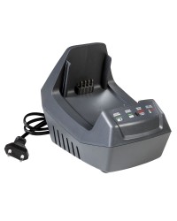 Efco Tagliasiepi TGi 45 Include batteria Bi 2,5 EF e caricabatteria CRG