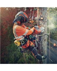 Husqvarna Motosega A Batteria T540i XP