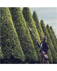 Husqvarna Tagliasiepi A Batteria 520iHT4