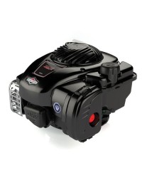Motore Briggs & Stratton 550