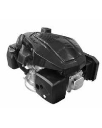 Motore Emak K655 Euro 5