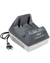 Efco Tagliaerba LRi 48 P Include Batteria Bi 5,0 EF e Caricabatterie Fast CRG