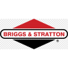 Briggs&Stratton